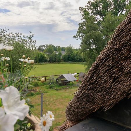 Het Grote Paard Leilighet Havelte Eksteriør bilde