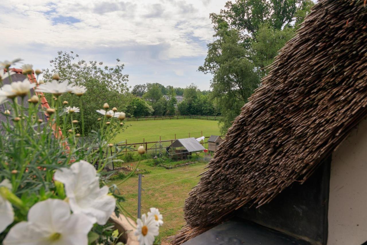 Het Grote Paard Leilighet Havelte Eksteriør bilde