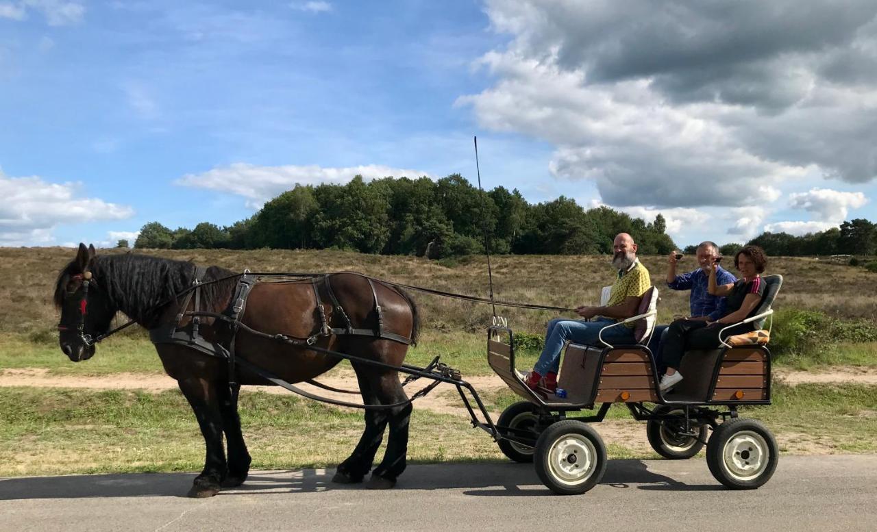 Het Grote Paard Leilighet Havelte Eksteriør bilde