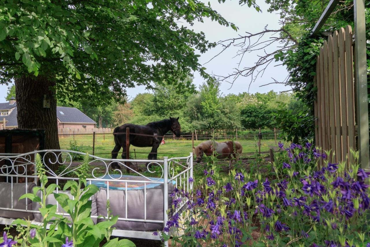 Het Grote Paard Leilighet Havelte Eksteriør bilde