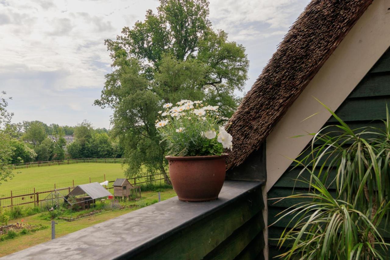 Het Grote Paard Leilighet Havelte Eksteriør bilde